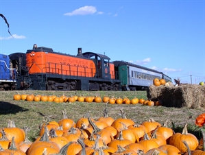 Ride the Pumpkin Patch Train